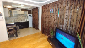 One bedroom Luxe 11 Baseina str Centre of Kiev